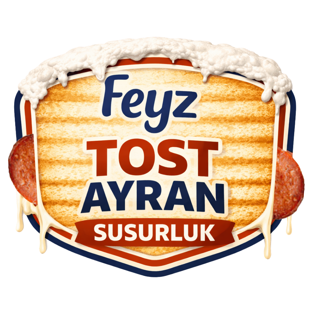 Feyz logo